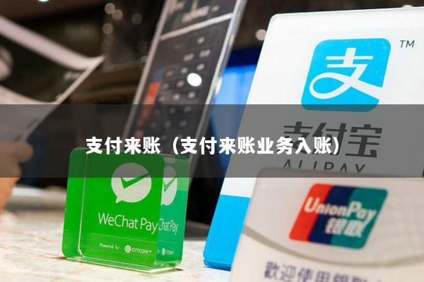 支付来账（支付来账业务入账）