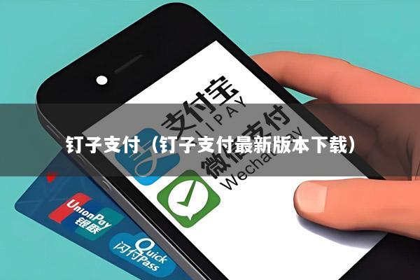 钉子支付（钉子支付最新版本下载）