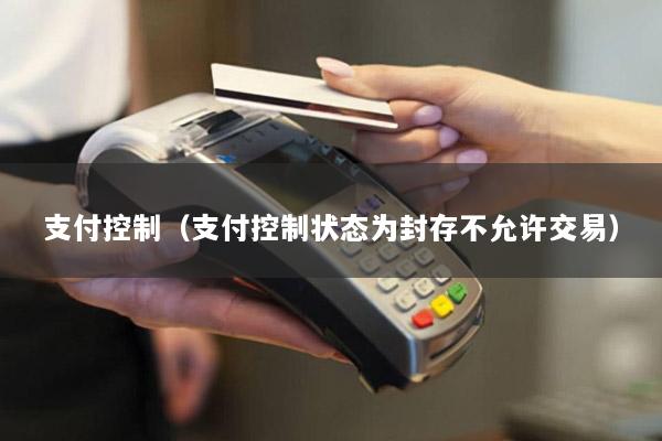 支付控制（支付控制状态为封存不允许交易）